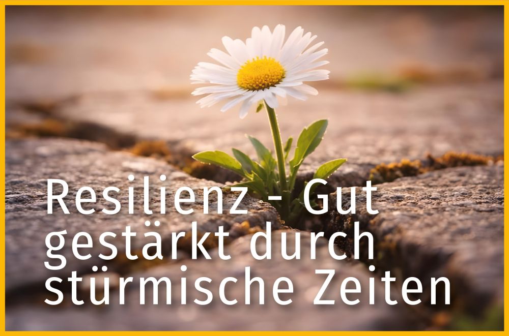 Resilienz Resilienz